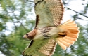 Photography of Bob Timmerman